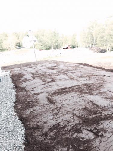 14317528_134222280368057_5333860579279532031_n