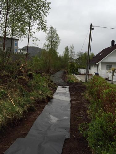 14333045_134222317034720_9102005398349452537_n