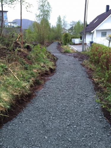 14333769_134222283701390_1089613156168560702_n