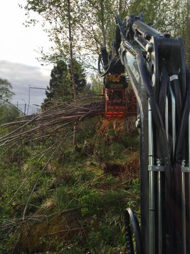 14354980_134222327034719_2567002408609538812_n